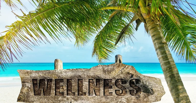 Was bedeutet "All Senses" konkret – oder ist das nur ein Marketingname?