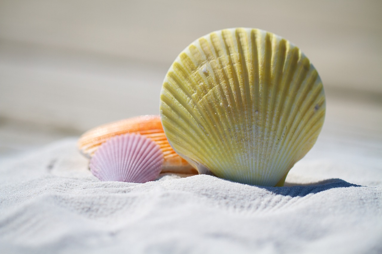 Welcher Strandurlaub ist der perfekte für 2025?