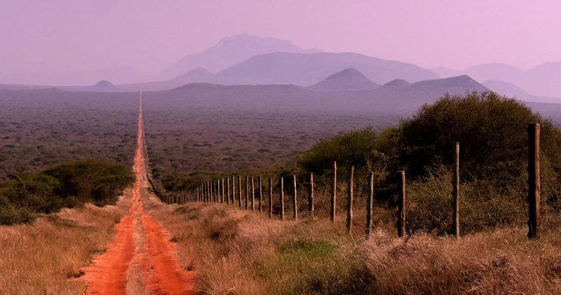 Tsavo Nationalpark Erfahrungen: was mich überrascht hat