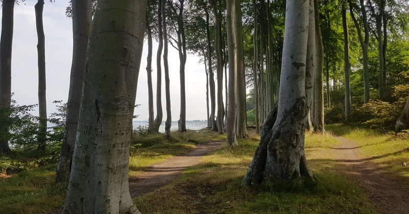 Wo genau liegt das Ekies All Senses Resort – und warum ist die Lage entscheidend?