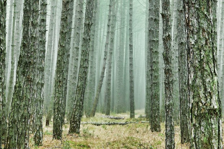 entdecken sie die aufregendsten abenteuerreisen! von aufregenden trekkingtouren bis zu spannenden expeditionen – erleben sie die natur hautnah und schaffen sie unvergessliche erinnerungen.