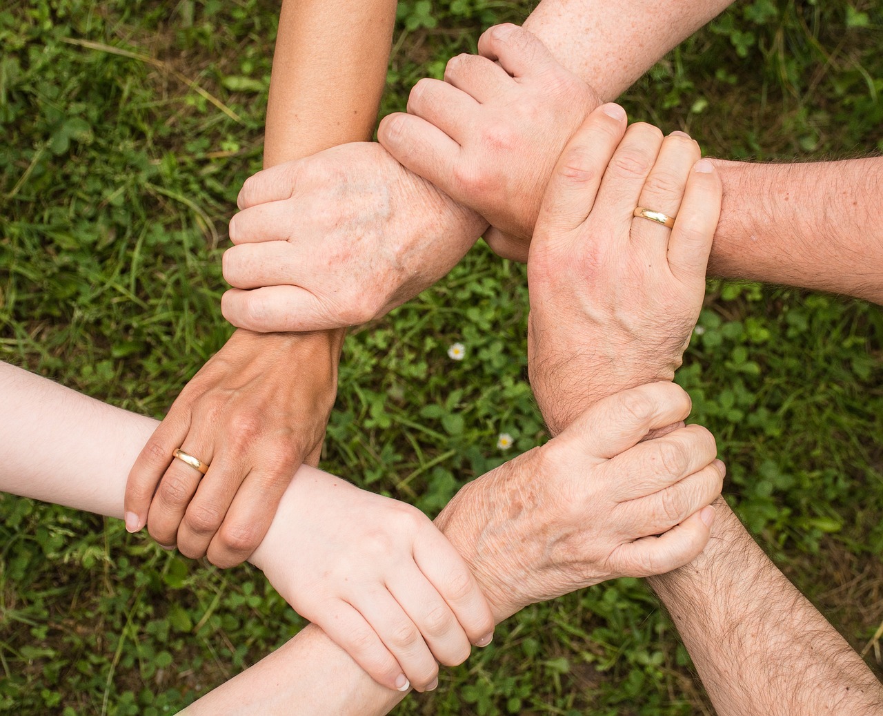entdecken sie unsere attraktiven familienrabatte! profitieren sie von exklusiven angeboten für familien und sparen sie bei ihren einkäufen. ideal für einen unvergesslichen familienausflug oder die nächsten feiertage!