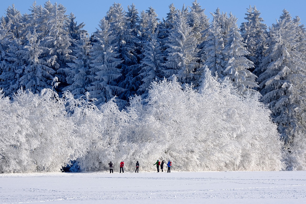 entdecken sie eine vielzahl von winteraktivitäten, die spaß und abenteuer für die ganze familie bieten. von skifahren und snowboarden bis hin zu winterwanderungen und schneeschuhwandern – erleben sie den zauber des winters in vollem umfang!