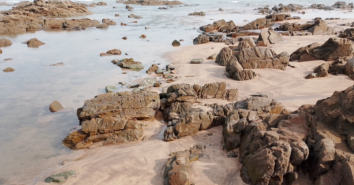genießen sie unvergessliche momente an wunderschönen stränden mit unserem beach vacation-angebot. entspannen sie sich in der sonne, erkunden sie das klare wasser und erleben sie abenteuer, die sie nie vergessen werden.