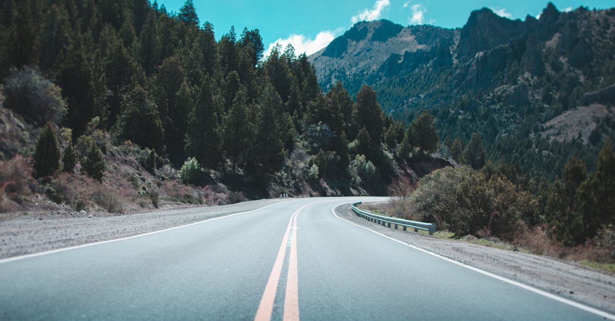erleben sie das abenteuer eines road trips! entdecken sie atemberaubende landschaften, malerische städte und unvergessliche erlebnisse auf der straße. planen sie ihre perfekte reise und genießen sie die freiheit, die ihnen das reisen mit dem auto bietet.