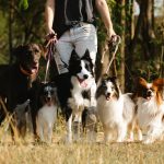 entdecken sie eine vielzahl von aktivitäten für jedes alter und interesse! von abenteuersportarten über kulturelle erlebnisse bis hin zu entspannenden freizeitbeschäftigungen – finden sie die perfekte aktivität für ihre nächste auszeit.