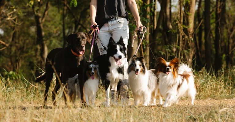 entdecken sie eine vielzahl von aktivitäten für jedes alter und interesse! von abenteuersportarten über kulturelle erlebnisse bis hin zu entspannenden freizeitbeschäftigungen – finden sie die perfekte aktivität für ihre nächste auszeit.