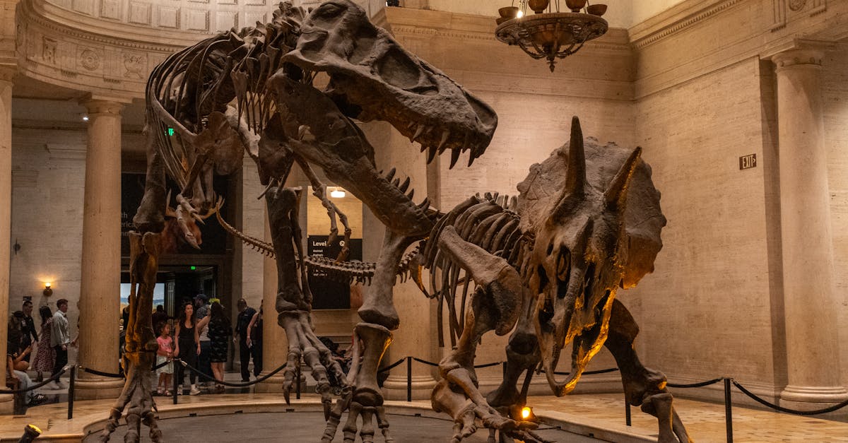 entdecken sie faszinierende familienmuseen, die spannende ausstellungen und interaktive aktivitäten für groß und klein bieten. erleben sie lehrreiche momente und kinderfreundliche programme in einer entspannten atmosphäre.