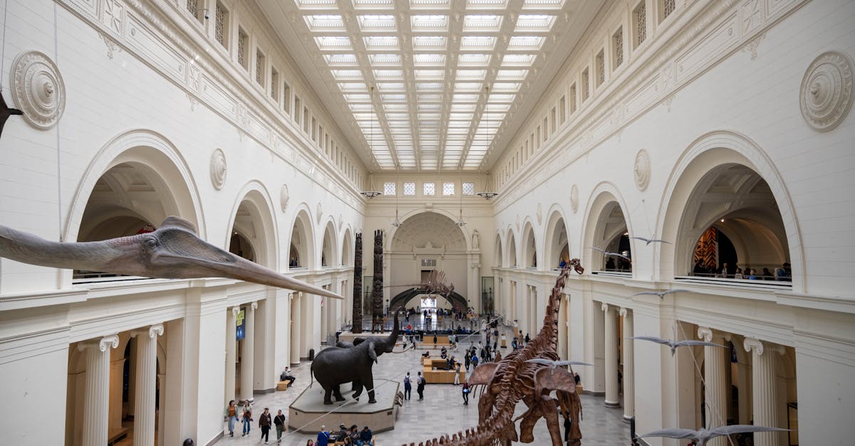 entdecken sie die besten familienmuseen, die spannende ausstellungen und interaktive aktivitäten für groß und klein bieten. erleben sie bildung und spaß in einem einladenden umfeld!