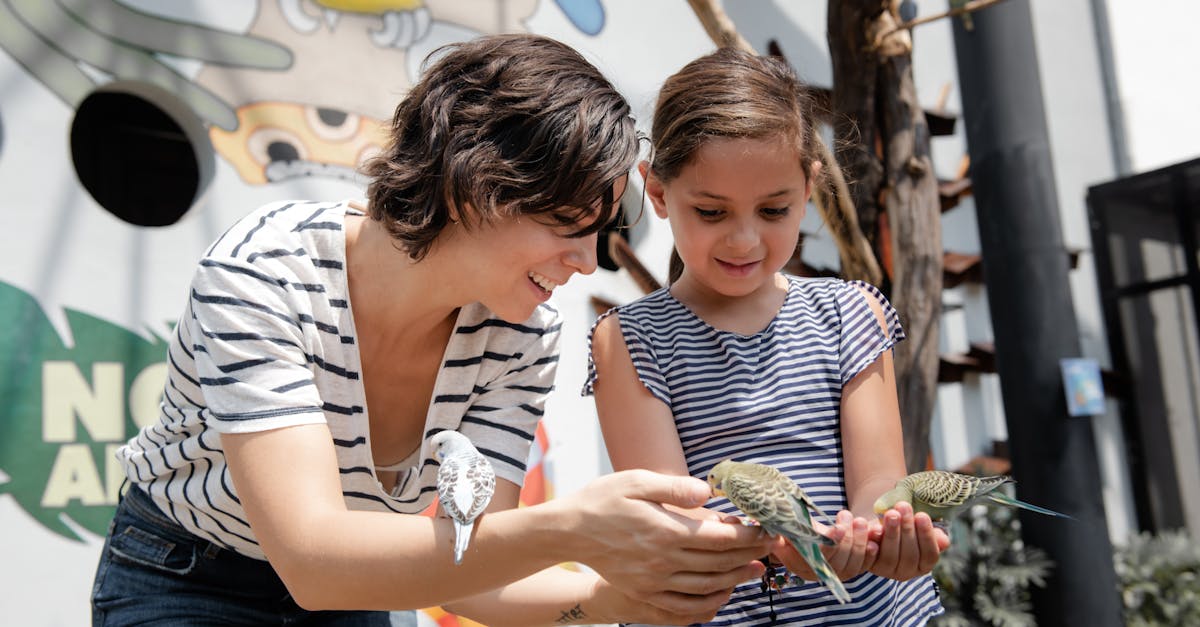entdecken sie aufregende und unterhaltsame familienaktivitäten, die für alle altersgruppen geeignet sind. von outdoor-abenteuern bis zu kreativen bastelprojekten - finden sie die perfekten erlebnisse, um zeit mit ihren lieben zu verbringen und unvergessliche erinnerungen zu schaffen.
