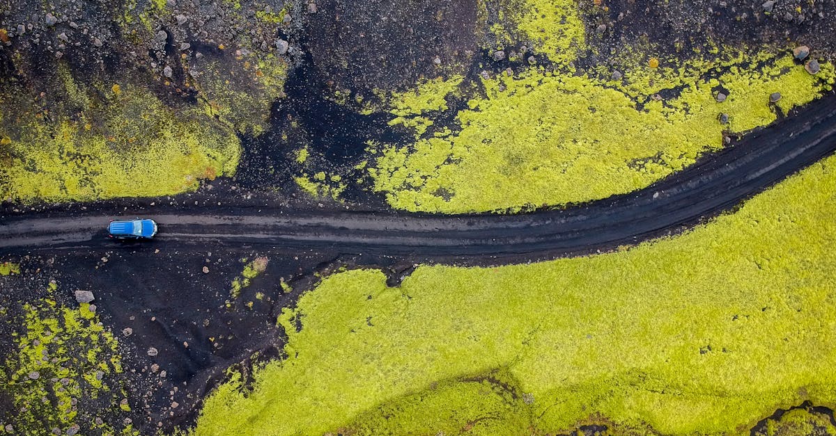 erleben sie das abenteuer auf ihrem nächsten roadtrip! entdecken sie malerische landschaften, aufregende sehenswürdigkeiten und genießen sie die freiheit des reisens. die besten tipps für einen unvergesslichen roadtrip warten auf sie!