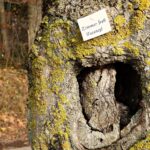 familienfreundliches apartment mit viel platz und komfort, ideal f&uuml;r einen entspannten urlaub mit kindern.