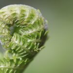 entdecken sie hilfreiche saisonale reisetipps, um ihre reisen das ganze jahr &uuml;ber optimal zu planen und zu genie&szlig;en.