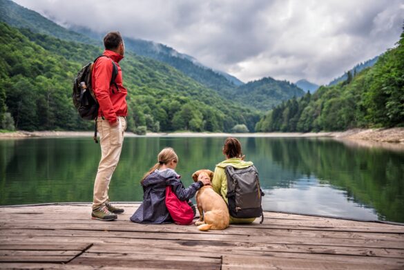 shutterstock_719449870-2-585x391